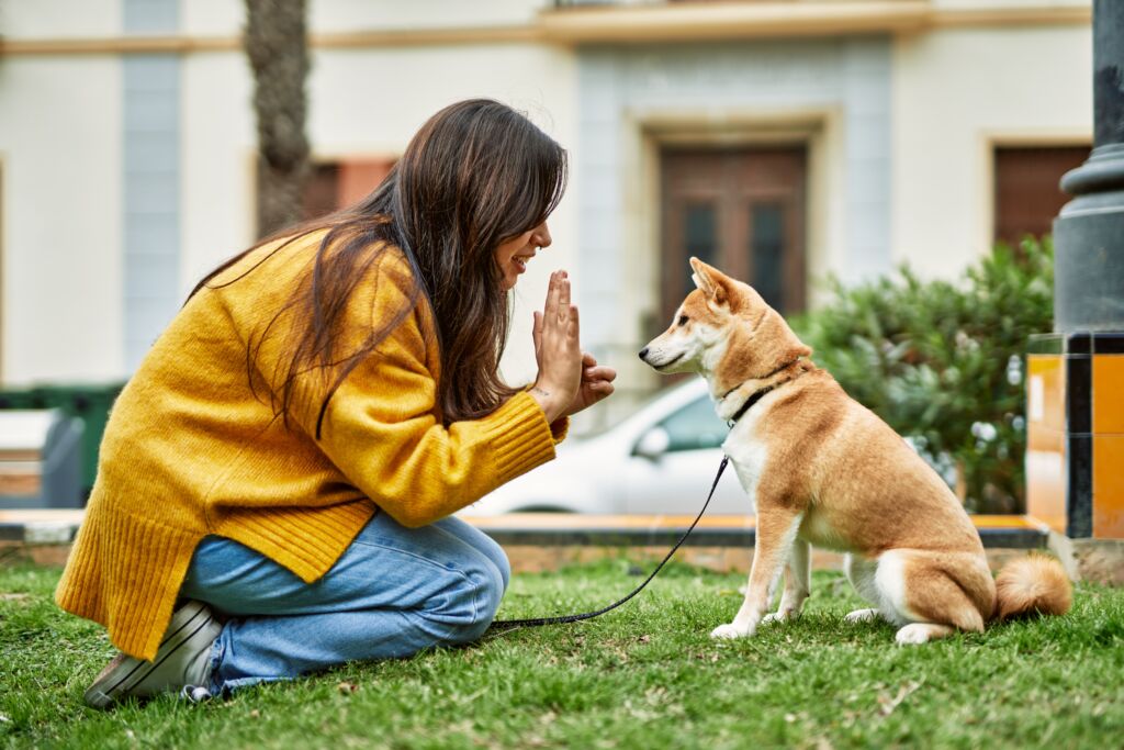 Small Businesses Harness the Power of AI - much like training your dog a new trick, AI is a useful resource and beneficial for day to day small business operations!